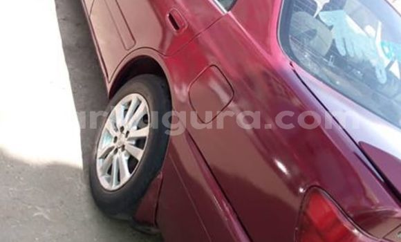 Nunua Ilio tumika Toyota Carina Nyekundu Gari ndani ya Bujumbura nchini Bujumbura Nunua Ilio tumika Toyota Carina Nyekundu Gari ndani ya Bujumbura nchini Bujumbura