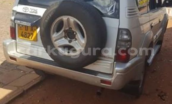 Nunua Ilio tumika Toyota Land Cruiser Prado Nyeupe Gari ndani ya Bujumbura nchini Bujumbura Nunua Ilio tumika Toyota Land Cruiser Prado Nyeupe Gari ndani ya Bujumbura nchini Bujumbura