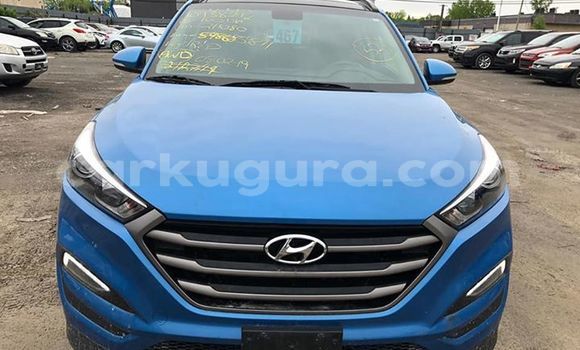 Nunua Ilio tumika Hyundai Tucson Bluu Gari ndani ya Bujumbura nchini Bujumbura Nunua Ilio tumika Hyundai Tucson Bluu Gari ndani ya Bujumbura nchini Bujumbura