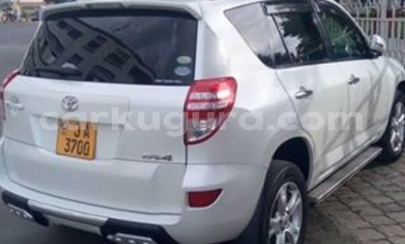 Nunua Ilio tumika Toyota RAV4 Nyeupe Gari ndani ya Bujumbura nchini Bujumbura Nunua Ilio tumika Toyota RAV4 Nyeupe Gari ndani ya Bujumbura nchini Bujumbura