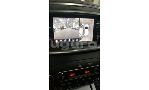 Buy Import Kia Sorento Brown Car in Import - Dubai in Bujumbura Buy Import Kia Sorento Brown Car in Import - Dubai in Bujumbura