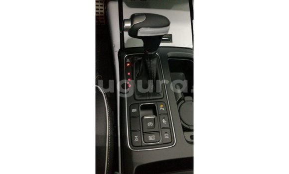 Buy Import Kia Sorento Brown Car in Import - Dubai in Bujumbura Buy Import Kia Sorento Brown Car in Import - Dubai in Bujumbura