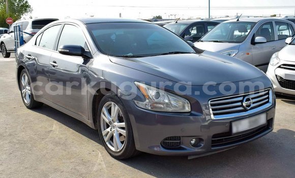 Buy Import Nissan Maxima Other Car in Import - Dubai in Bujumbura Buy Import Nissan Maxima Other Car in Import - Dubai in Bujumbura