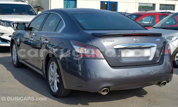 Buy Import Nissan Maxima Other Car in Import - Dubai in Bujumbura Buy Import Nissan Maxima Other Car in Import - Dubai in Bujumbura