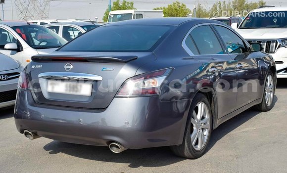 Buy Import Nissan Maxima Other Car in Import - Dubai in Bujumbura Buy Import Nissan Maxima Other Car in Import - Dubai in Bujumbura