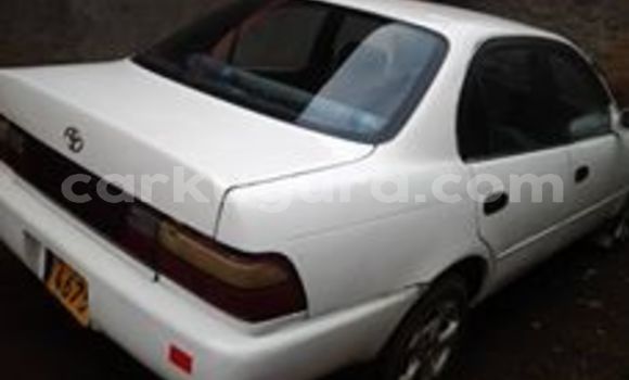 Buy Used Toyota Corolla White Car in Bujumbura in Bujumbura Buy Used Toyota Corolla White Car in Bujumbura in Bujumbura