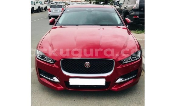 Acheter Import Voiture Jaguar XE Rouge à Import - Dubai, Bujumbura