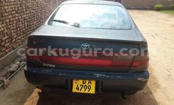 Buy Used Toyota Corona Blue Car in Bujumbura in Bujumbura Buy Used Toyota Corona Blue Car in Bujumbura in Bujumbura