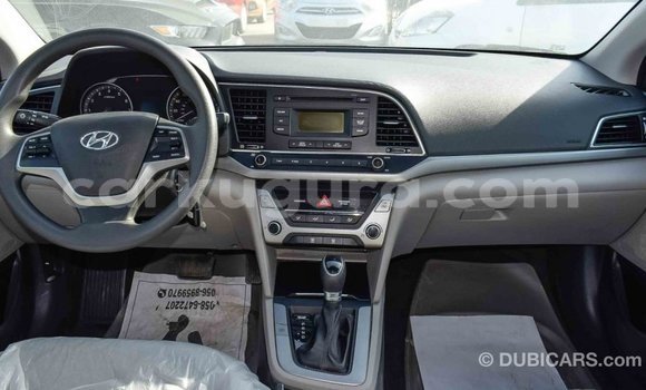 Buy Import Hyundai Elantra Blue Car in Import - Dubai in Bujumbura Buy Import Hyundai Elantra Blue Car in Import - Dubai in Bujumbura