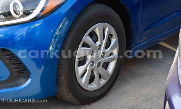 Buy Import Hyundai Elantra Blue Car in Import - Dubai in Bujumbura Buy Import Hyundai Elantra Blue Car in Import - Dubai in Bujumbura