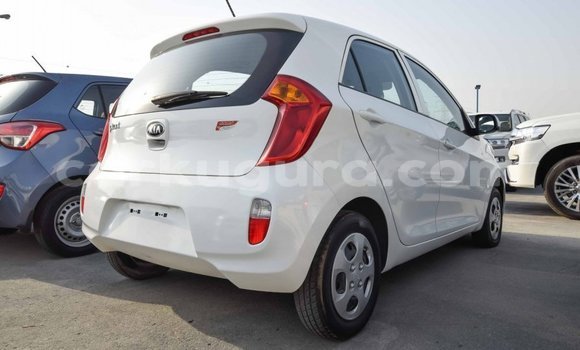 Buy Import Kia Picanto White Car in Import - Dubai in Bujumbura Buy Import Kia Picanto White Car in Import - Dubai in Bujumbura