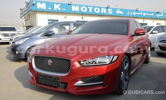 Nunua Imported Jaguar XE Nyekundu Gari ndani ya Import - Dubai nchini Bujumbura Nunua Imported Jaguar XE Nyekundu Gari ndani ya Import - Dubai nchini Bujumbura