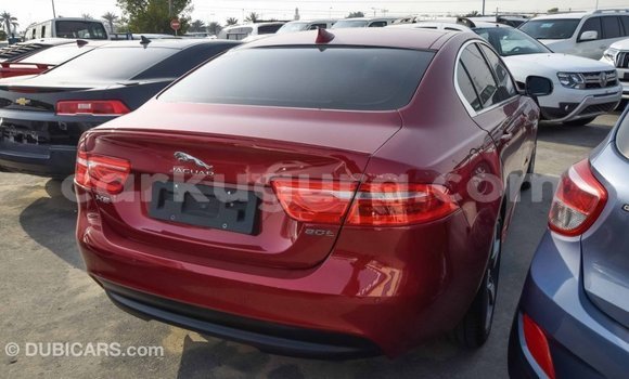 Nunua Imported Jaguar XE Nyekundu Gari ndani ya Import - Dubai nchini Bujumbura Nunua Imported Jaguar XE Nyekundu Gari ndani ya Import - Dubai nchini Bujumbura