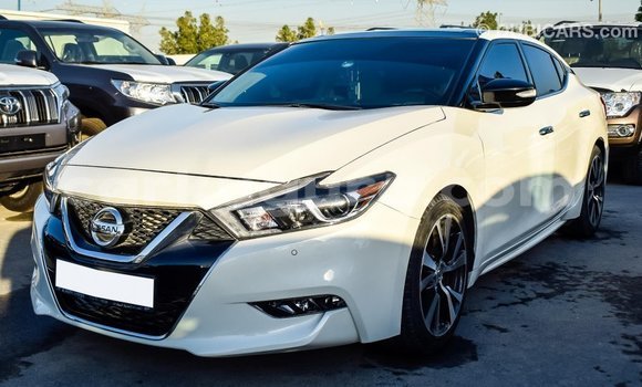 Buy Import Nissan Maxima White Car in Import - Dubai in Bujumbura Buy Import Nissan Maxima White Car in Import - Dubai in Bujumbura