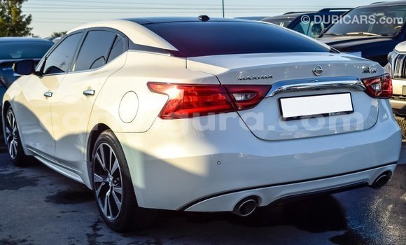 Buy Import Nissan Maxima White Car in Import - Dubai in Bujumbura Buy Import Nissan Maxima White Car in Import - Dubai in Bujumbura