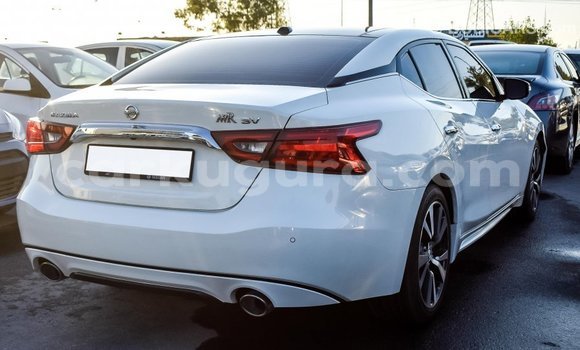 Buy Import Nissan Maxima White Car in Import - Dubai in Bujumbura Buy Import Nissan Maxima White Car in Import - Dubai in Bujumbura