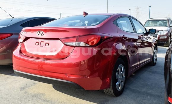 Buy Import Hyundai Elantra Red Car in Import - Dubai in Bujumbura Buy Import Hyundai Elantra Red Car in Import - Dubai in Bujumbura