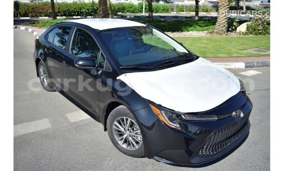 Buy Import Toyota Corolla Black Car in Import - Dubai in Bujumbura Buy Import Toyota Corolla Black Car in Import - Dubai in Bujumbura