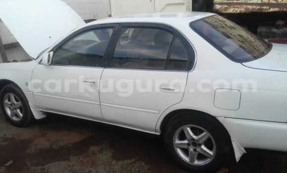 Nunua Ilio tumika Toyota Corolla Nyeupe Gari ndani ya ukumbi wa mji nchini Bujumbura Nunua Ilio tumika Toyota Corolla Nyeupe Gari ndani ya ukumbi wa mji nchini Bujumbura