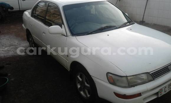 Acheter Occasion Voiture Toyota Corolla Blanc à Mairie au Bujumbura Acheter Occasion Voiture Toyota Corolla Blanc à Mairie au Bujumbura