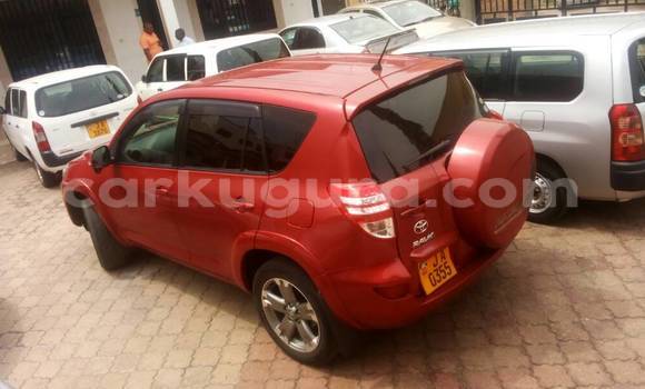 Buy Used Toyota RAV4 Red Car in Town hall in Bujumbura Buy Used Toyota RAV4 Red Car in Town hall in Bujumbura