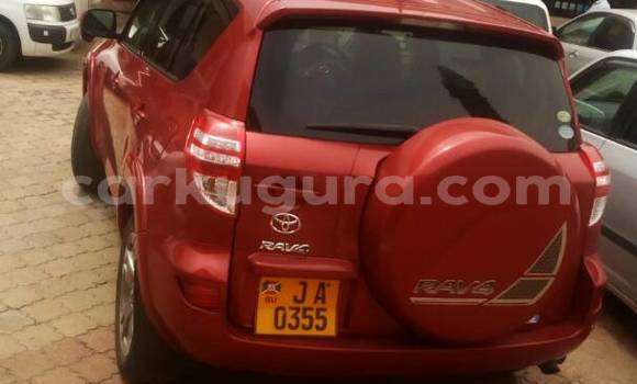 Buy Used Toyota RAV4 Red Car in Town hall in Bujumbura Buy Used Toyota RAV4 Red Car in Town hall in Bujumbura