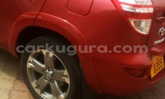 Buy Used Toyota RAV4 Red Car in Town hall in Bujumbura Buy Used Toyota RAV4 Red Car in Town hall in Bujumbura