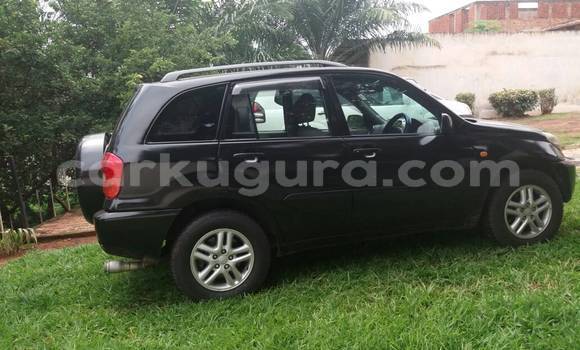 Buy Used Toyota RAV4 Black Car in Town hall in Bujumbura Buy Used Toyota RAV4 Black Car in Town hall in Bujumbura