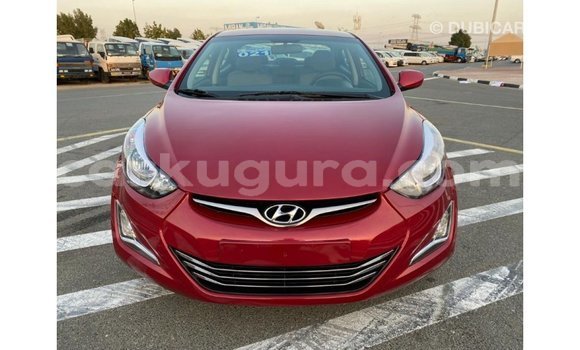 Nunua Imported Hyundai Elantra Nyekundu Gari ndani ya Import - Dubai nchini Bujumbura Nunua Imported Hyundai Elantra Nyekundu Gari ndani ya Import - Dubai nchini Bujumbura