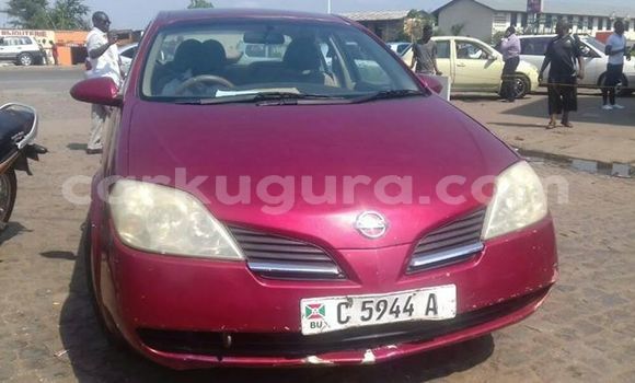 Nunua Ilio tumika Nissan Primera Nyekundu Gari ndani ya Muyinga nchini Burundi Nunua Ilio tumika Nissan Primera Nyekundu Gari ndani ya Muyinga nchini Burundi