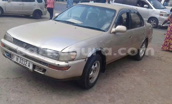 Nunua Ilio tumika Toyota Corolla Nyingine Gari ndani ya Muyinga nchini Burundi Nunua Ilio tumika Toyota Corolla Nyingine Gari ndani ya Muyinga nchini Burundi