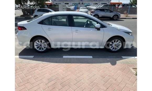 Nunua Imported Toyota Corolla Nyeupe Gari ndani ya Import - Dubai nchini Bujumbura Nunua Imported Toyota Corolla Nyeupe Gari ndani ya Import - Dubai nchini Bujumbura