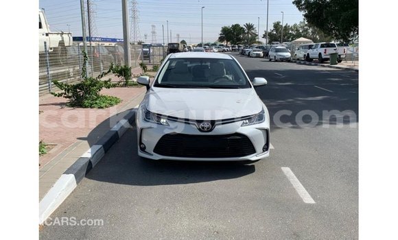 Nunua Imported Toyota Corolla Nyeupe Gari ndani ya Import - Dubai nchini Bujumbura Nunua Imported Toyota Corolla Nyeupe Gari ndani ya Import - Dubai nchini Bujumbura