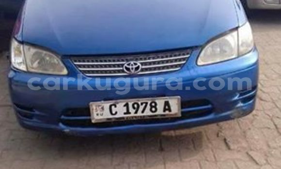 Nunua Ilio tumika Toyota Spacio Bluu Gari ndani ya Kamenge nchini Bujumbura Nunua Ilio tumika Toyota Spacio Bluu Gari ndani ya Kamenge nchini Bujumbura