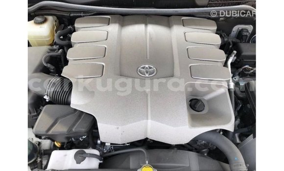 Acheter Import Voiture Toyota Land Cruiser Blanc à Import - Dubai, Bujumbura Acheter Import Voiture Toyota Land Cruiser Blanc à Import - Dubai, Bujumbura
