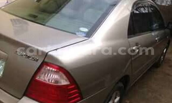 Acheter Occasion Voiture Toyota Corolla Autre à Bururi, Burundi Acheter Occasion Voiture Toyota Corolla Autre à Bururi, Burundi