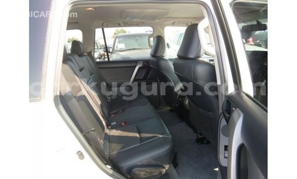 Buy Import Toyota Prado White Car in Import - Dubai in Bujumbura Buy Import Toyota Prado White Car in Import - Dubai in Bujumbura