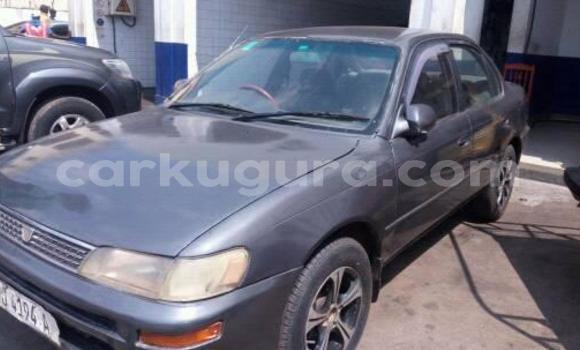 Nunua Ilio tumika Toyota Corolla Nyingine Gari ndani ya Bujumbura nchini Bujumbura Nunua Ilio tumika Toyota Corolla Nyingine Gari ndani ya Bujumbura nchini Bujumbura
