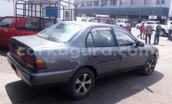 Nunua Ilio tumika Toyota Corolla Fedha Gari ndani ya Bujumbura nchini Bujumbura Nunua Ilio tumika Toyota Corolla Fedha Gari ndani ya Bujumbura nchini Bujumbura