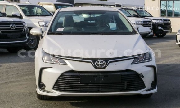 Buy Import Toyota Corolla White Car in Import - Dubai in Bujumbura Buy Import Toyota Corolla White Car in Import - Dubai in Bujumbura