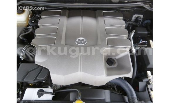 Buy Import Toyota Land Cruiser Black Car in Import - Dubai in Bujumbura Buy Import Toyota Land Cruiser Black Car in Import - Dubai in Bujumbura