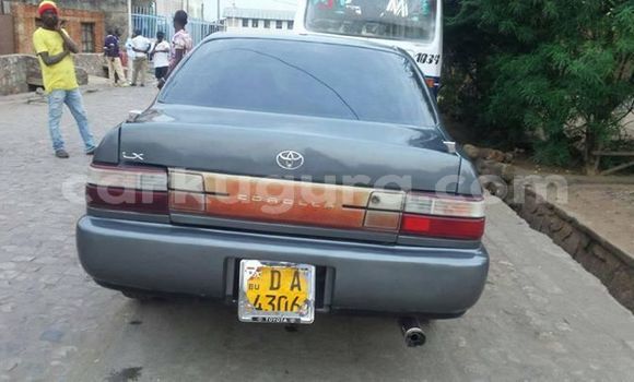 Acheter Import Voiture Toyota Corolla Autre à Bujumbura, Bujumbura Acheter Import Voiture Toyota Corolla Autre à Bujumbura, Bujumbura