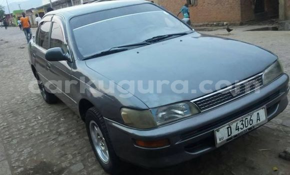 Acheter Import Voiture Toyota Corolla Autre à Bujumbura, Bujumbura Acheter Import Voiture Toyota Corolla Autre à Bujumbura, Bujumbura