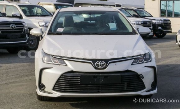 Buy Import Toyota Corolla White Car in Import - Dubai in Bujumbura Buy Import Toyota Corolla White Car in Import - Dubai in Bujumbura