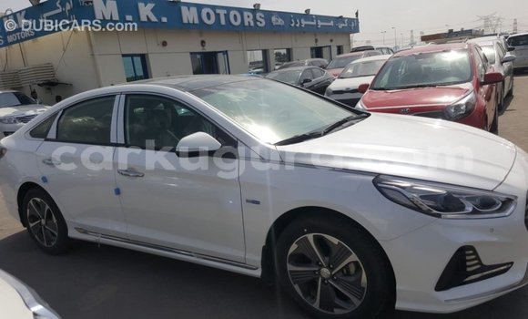 Acheter Import Voiture Hyundai Sonata Blanc à Import - Dubai, Bujumbura Acheter Import Voiture Hyundai Sonata Blanc à Import - Dubai, Bujumbura