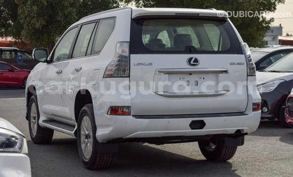 Acheter Import Voiture Lexus GX Blanc à Import - Dubai, Bujumbura Acheter Import Voiture Lexus GX Blanc à Import - Dubai, Bujumbura