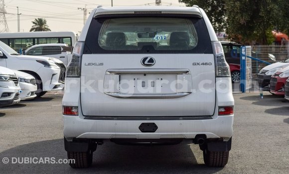 Acheter Import Voiture Lexus GX Blanc à Import - Dubai, Bujumbura Acheter Import Voiture Lexus GX Blanc à Import - Dubai, Bujumbura
