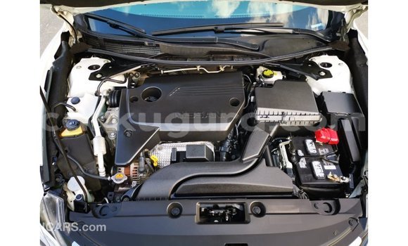 Buy Import Nissan Altima White Car in Import - Dubai in Bujumbura Buy Import Nissan Altima White Car in Import - Dubai in Bujumbura