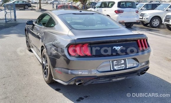 Acheter Import Voiture Ford Mustang Autre à Import - Dubai, Bujumbura Acheter Import Voiture Ford Mustang Autre à Import - Dubai, Bujumbura