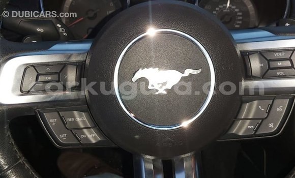 Acheter Import Voiture Ford Mustang Rouge à Import - Dubai, Bujumbura Acheter Import Voiture Ford Mustang Rouge à Import - Dubai, Bujumbura